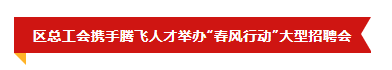 武漢開發區（漢南區）總工會攜手騰飛人才 舉辦“春風行動”大型招聘會